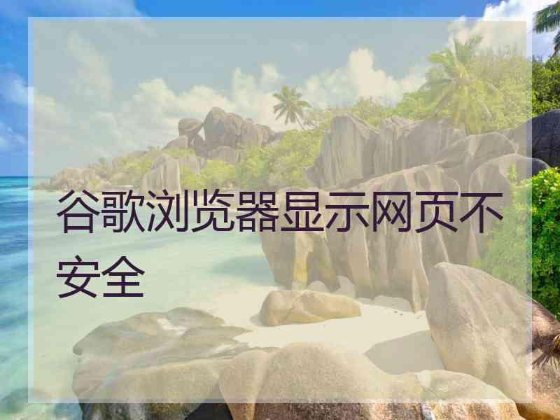 谷歌浏览器显示网页不安全