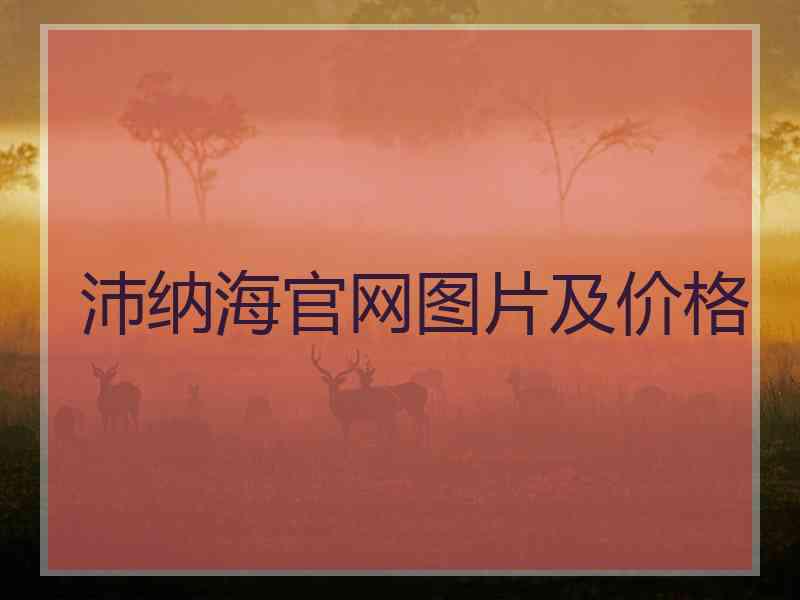 沛纳海官网图片及价格