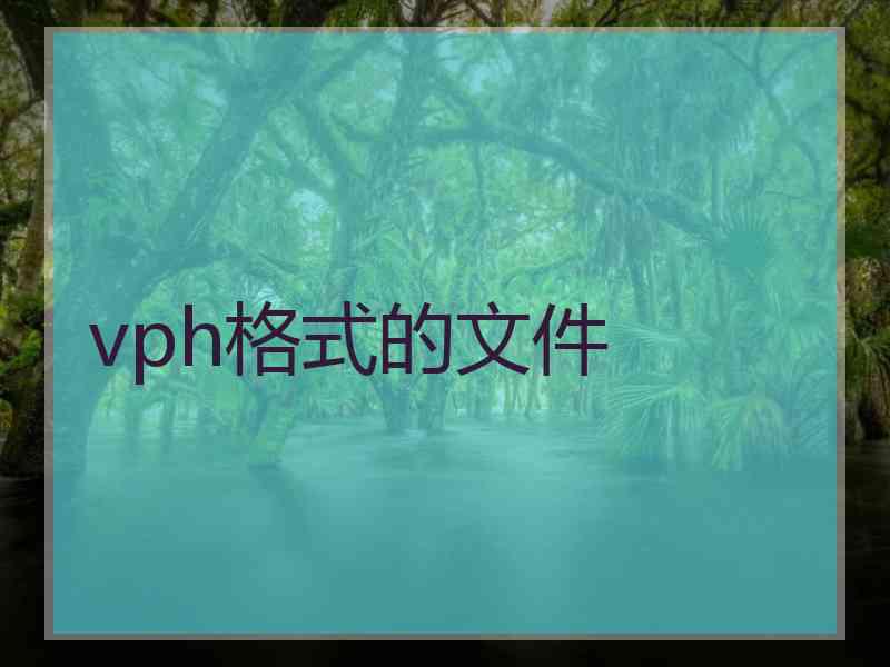 vph格式的文件