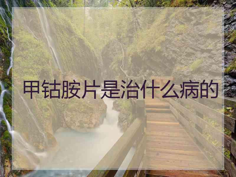 甲钴胺片是治什么病的