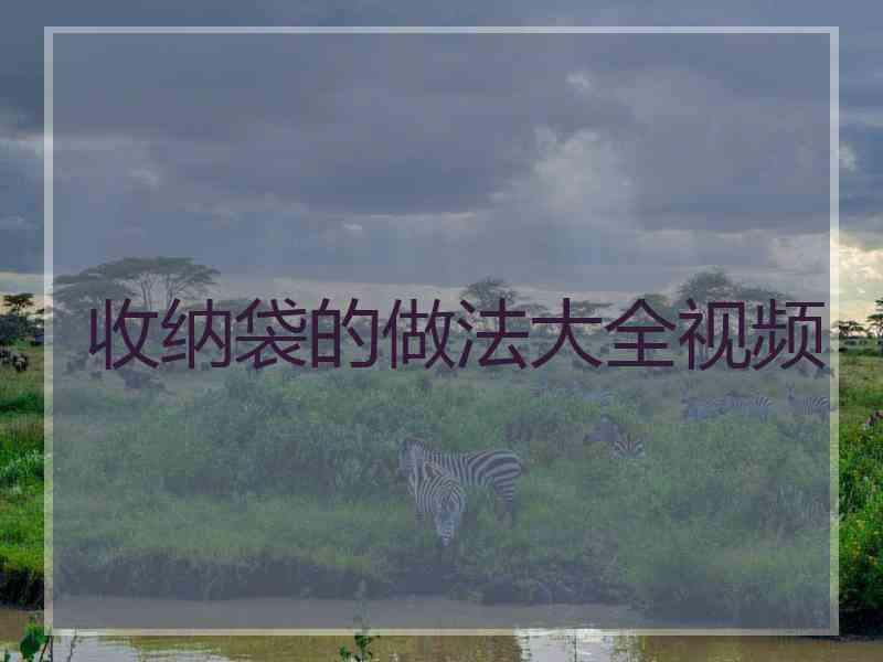 收纳袋的做法大全视频