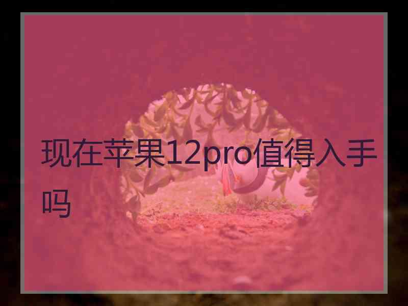 现在苹果12pro值得入手吗