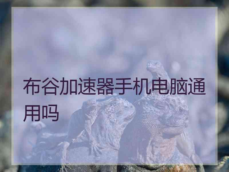 布谷加速器手机电脑通用吗