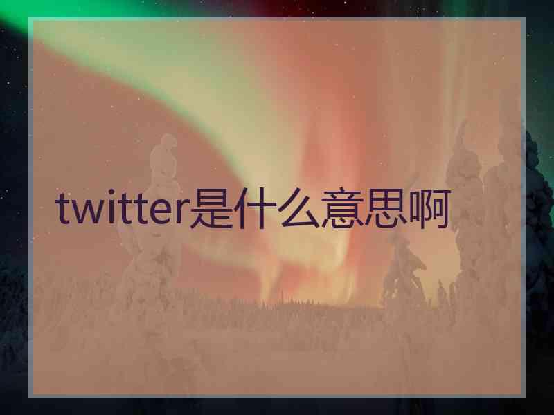twitter是什么意思啊