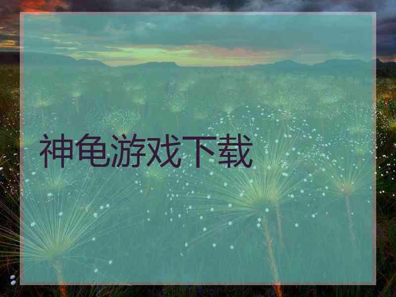 神龟游戏下载