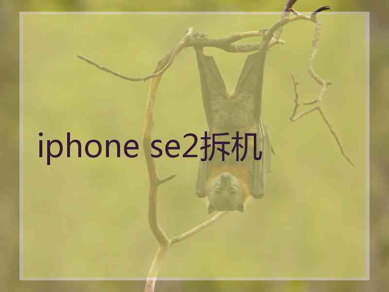 iphone se2拆机