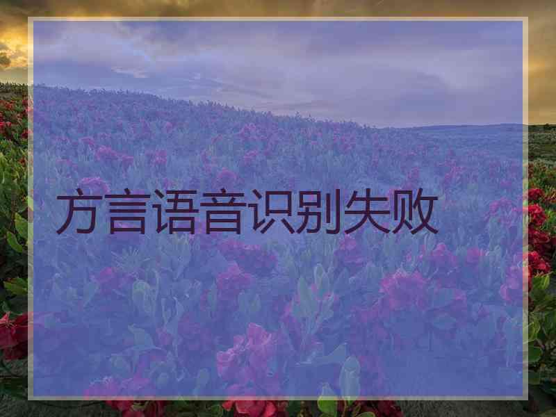 方言语音识别失败