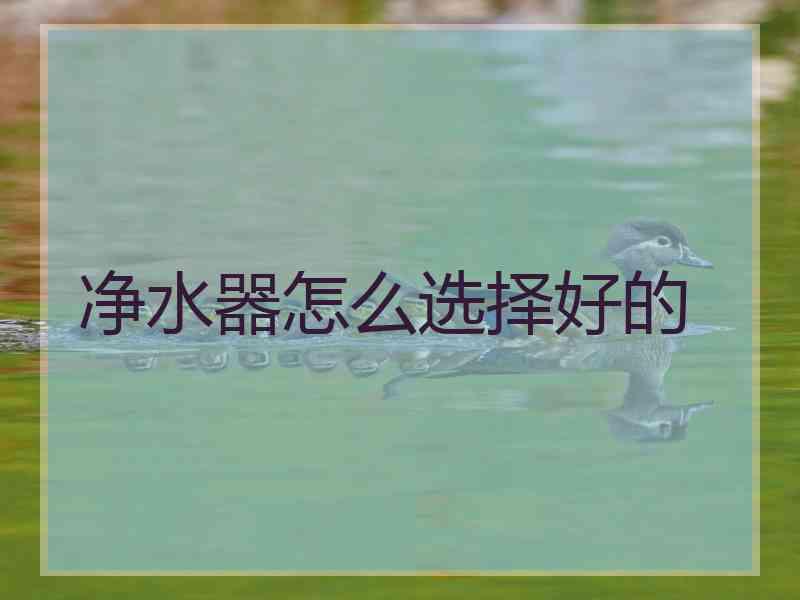 净水器怎么选择好的
