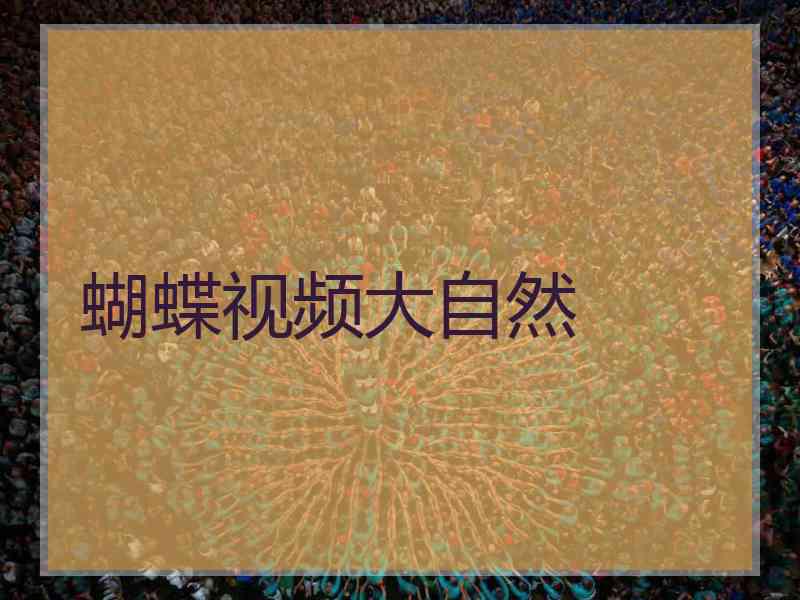 蝴蝶视频大自然