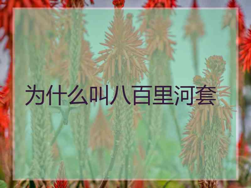 为什么叫八百里河套