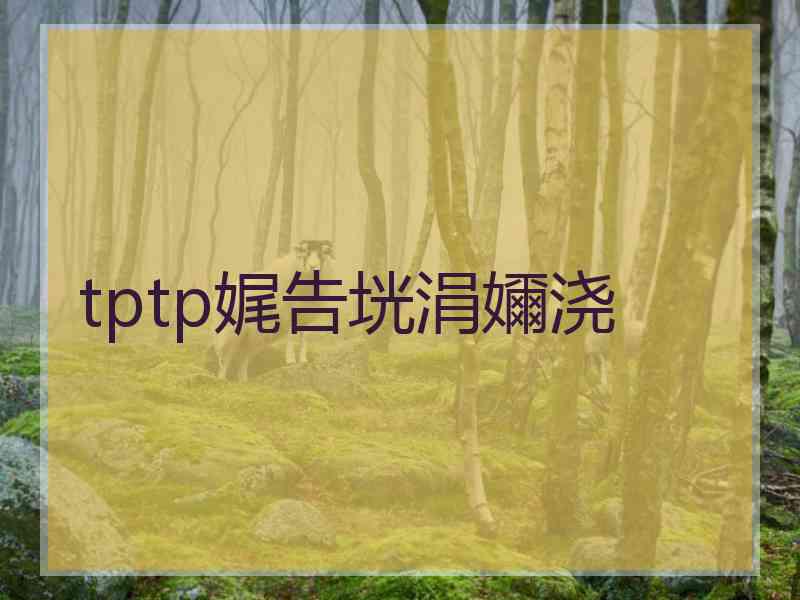 tptp娓告垙涓嬭浇