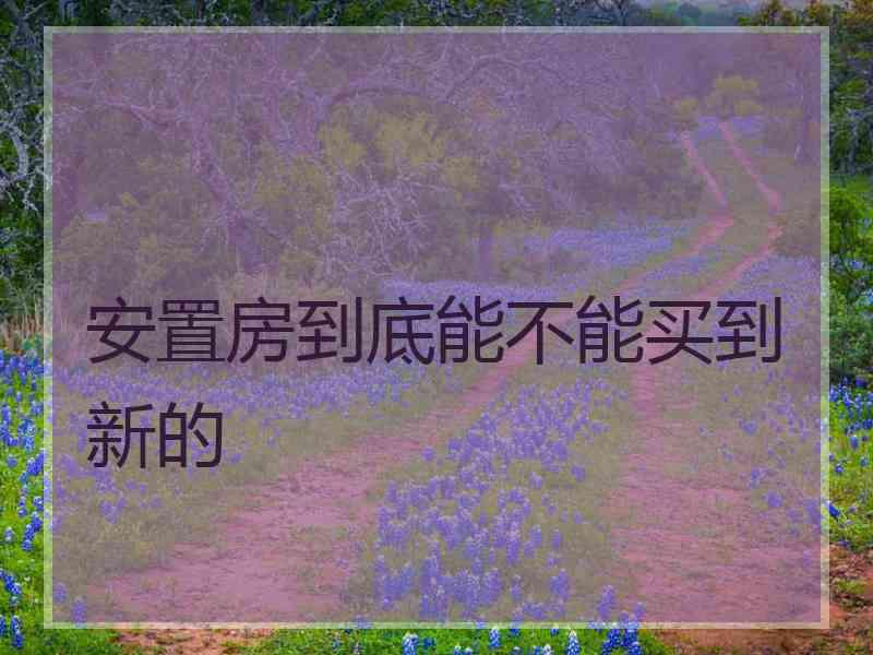 安置房到底能不能买到新的
