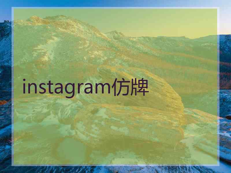 instagram仿牌