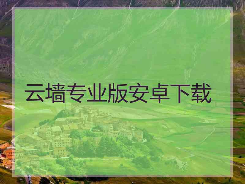 云墙专业版安卓下载