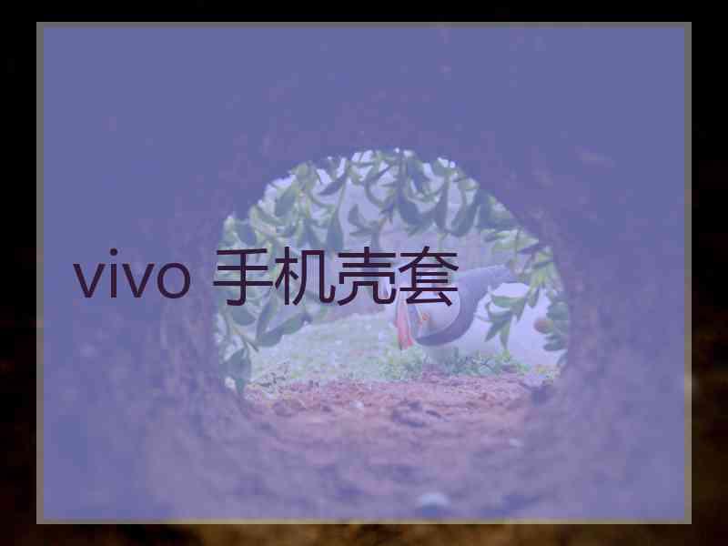 vivo 手机壳套