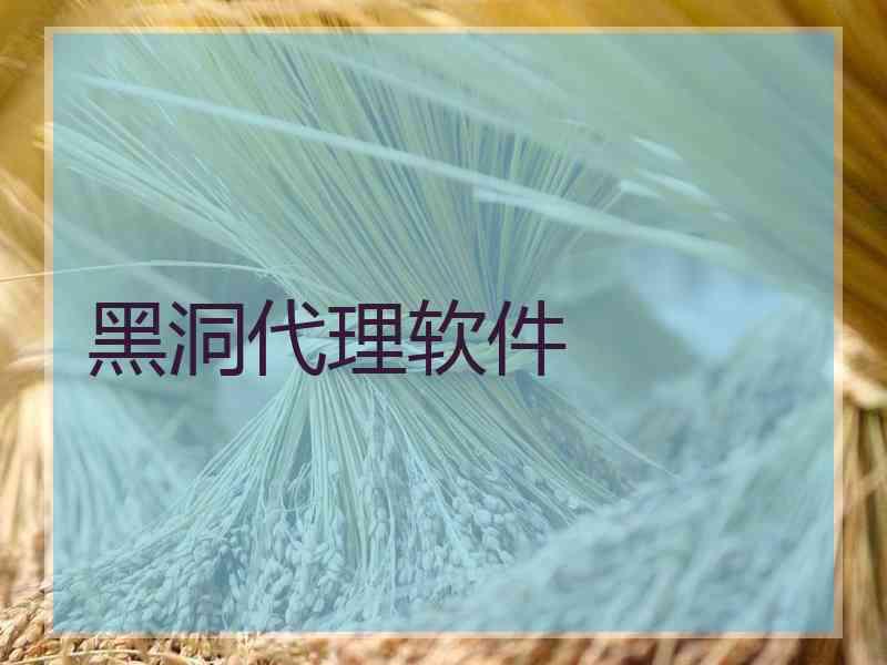 黑洞代理软件