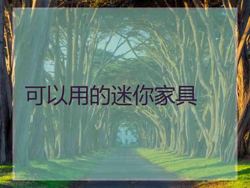 可以用的迷你家具
