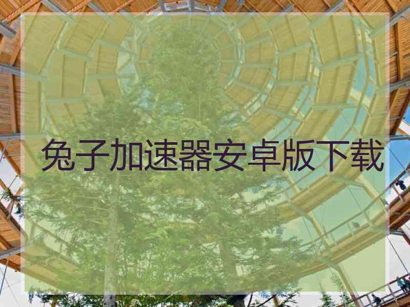 兔子加速器安卓版下载