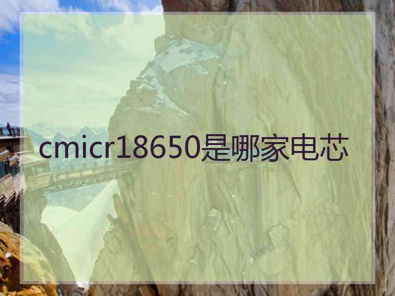 cmicr18650是哪家电芯