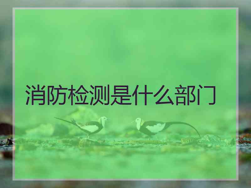 消防检测是什么部门