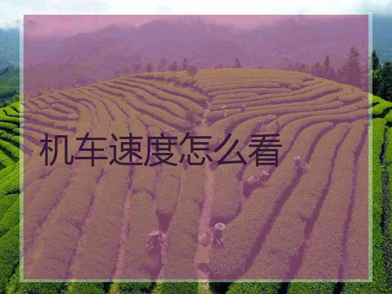 机车速度怎么看