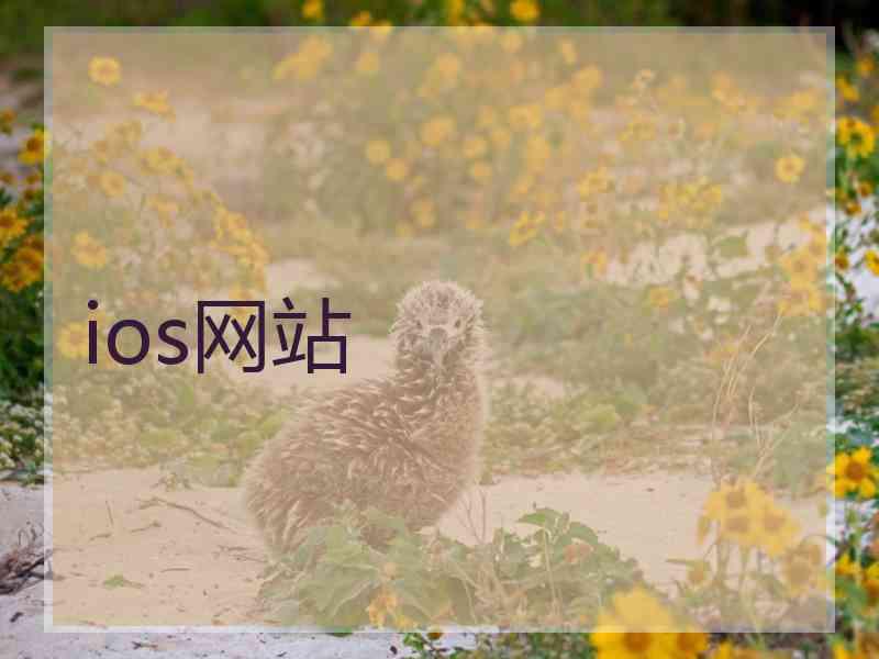 ios网站