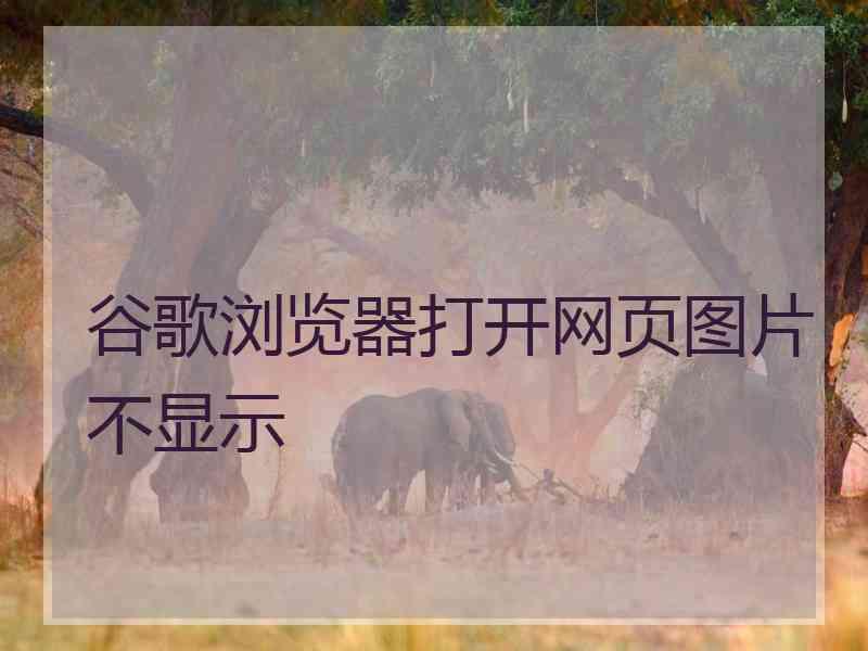 谷歌浏览器打开网页图片不显示