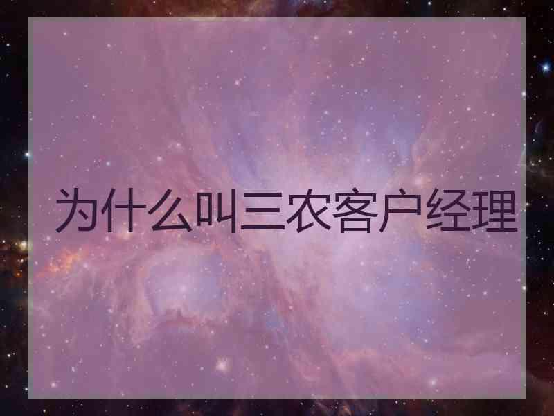 为什么叫三农客户经理