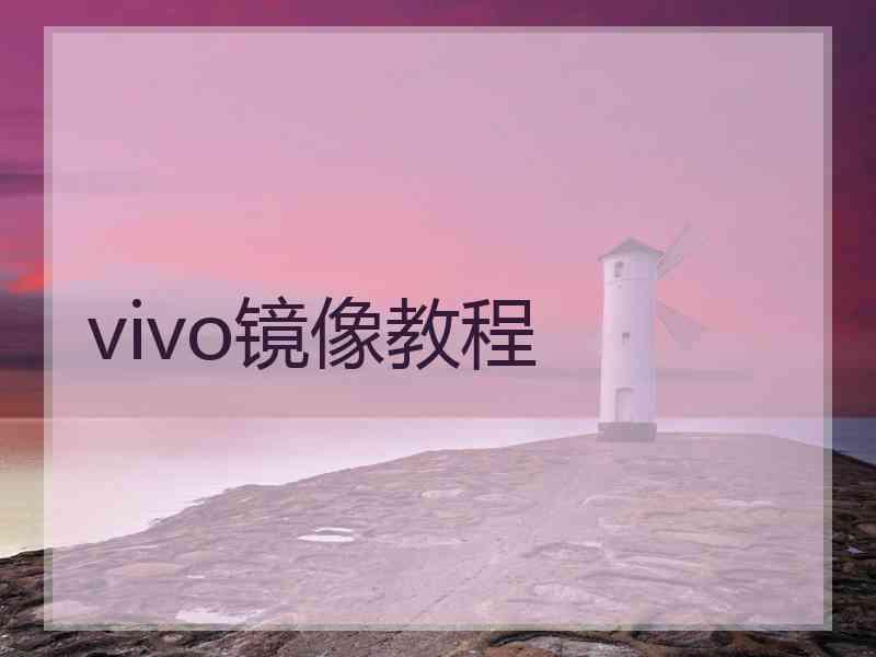 vivo镜像教程