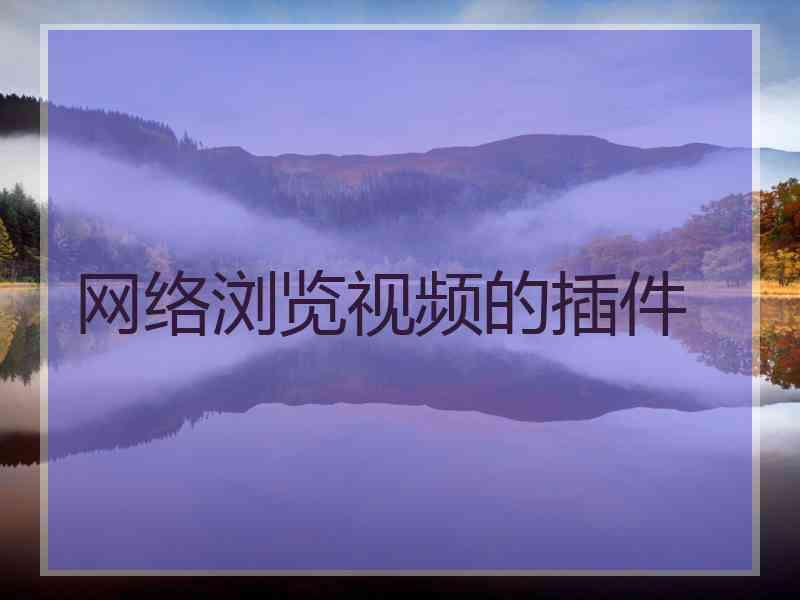 网络浏览视频的插件