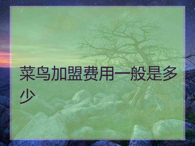 菜鸟加盟费用一般是多少