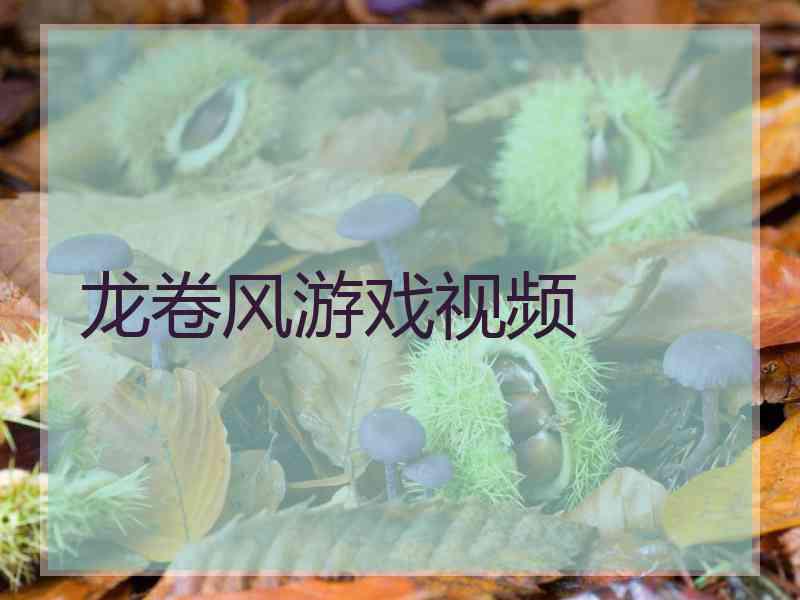 龙卷风游戏视频