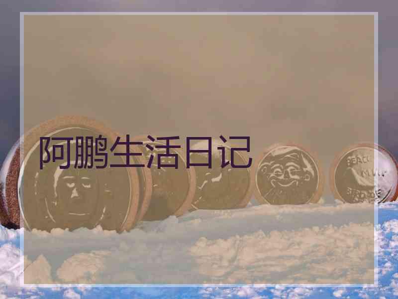 阿鹏生活日记