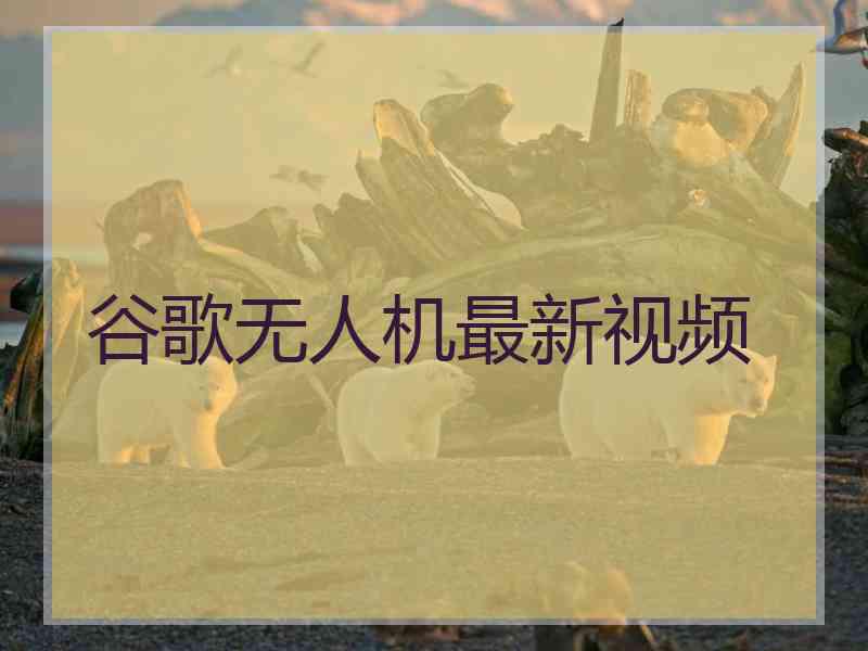 谷歌无人机最新视频