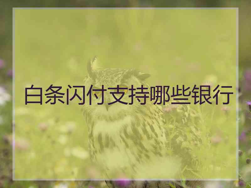 白条闪付支持哪些银行