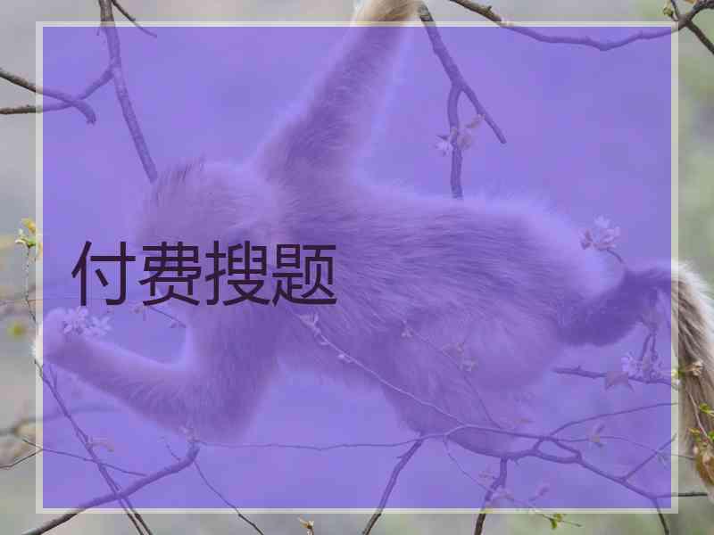 付费搜题