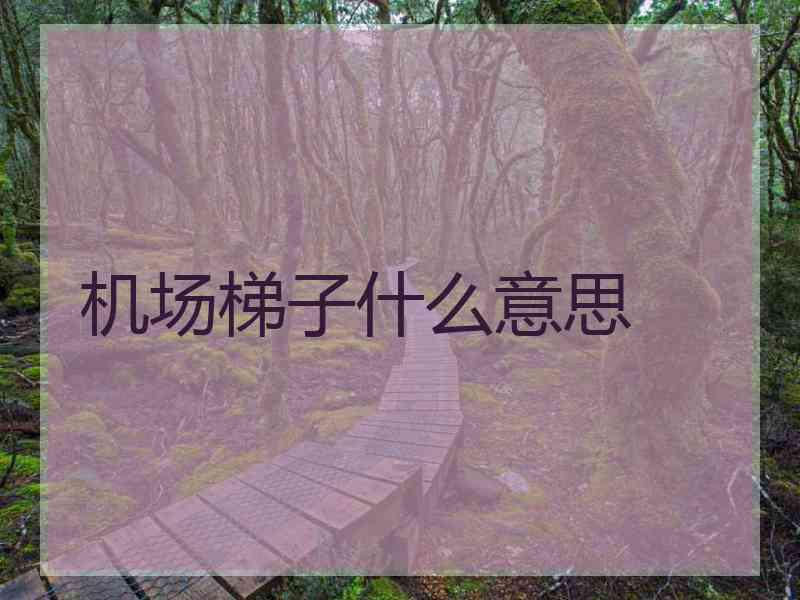 机场梯子什么意思