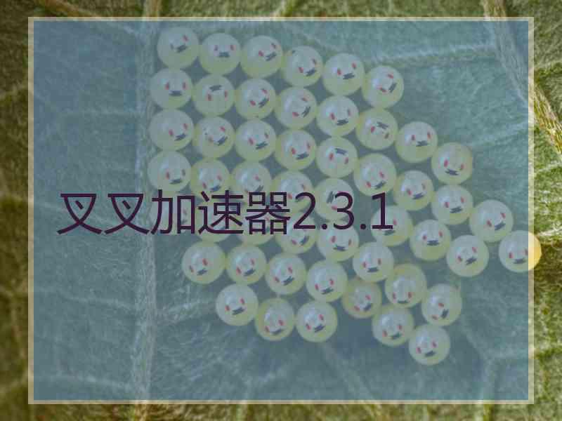 叉叉加速器2.3.1