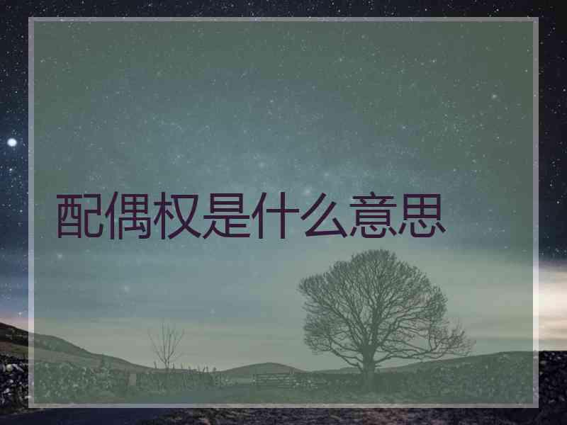 配偶权是什么意思