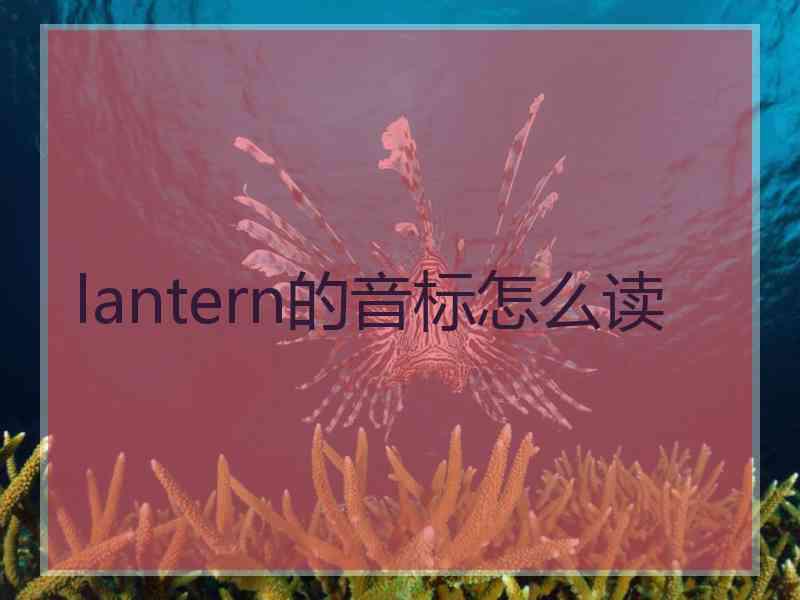lantern的音标怎么读