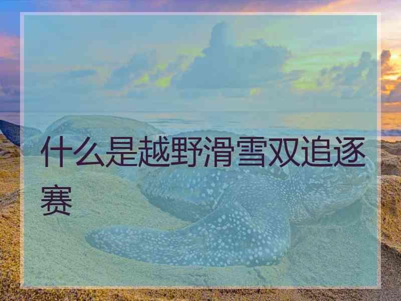 什么是越野滑雪双追逐赛