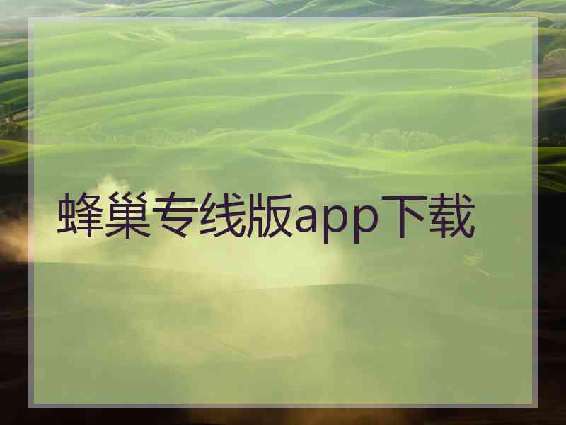 蜂巢专线版app下载