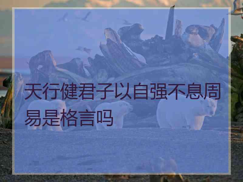 天行健君子以自强不息周易是格言吗