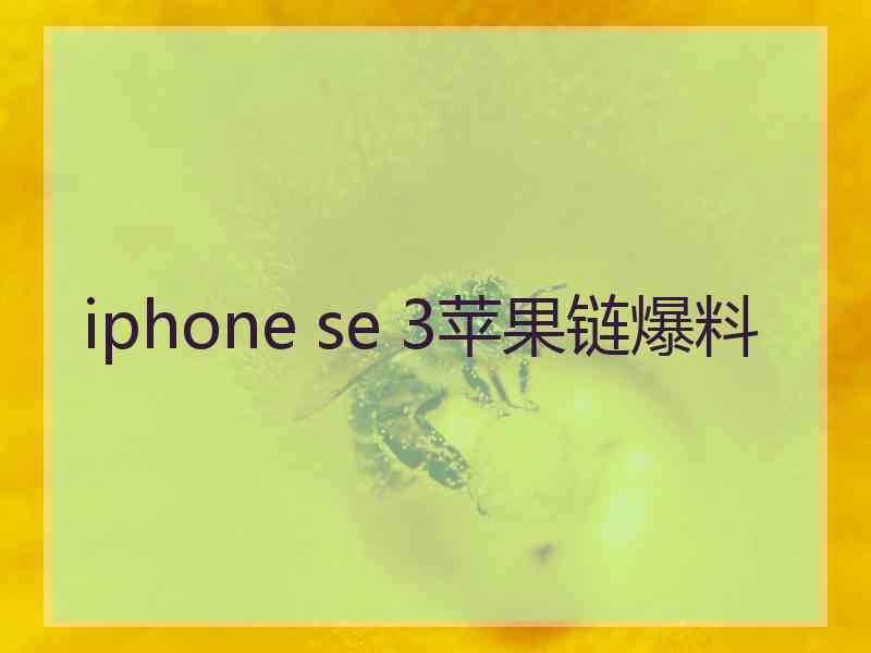 iphone se 3苹果链爆料