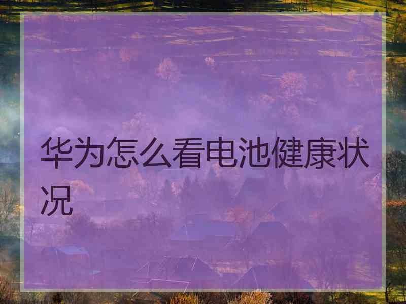 华为怎么看电池健康状况