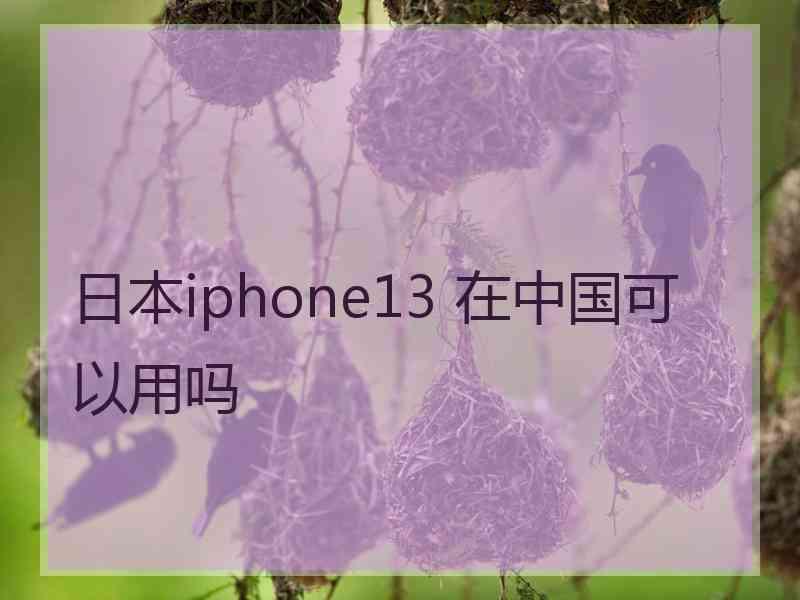 日本iphone13 在中国可以用吗
