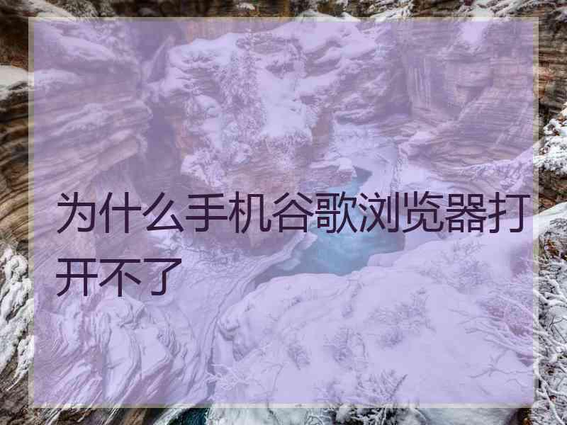 为什么手机谷歌浏览器打开不了