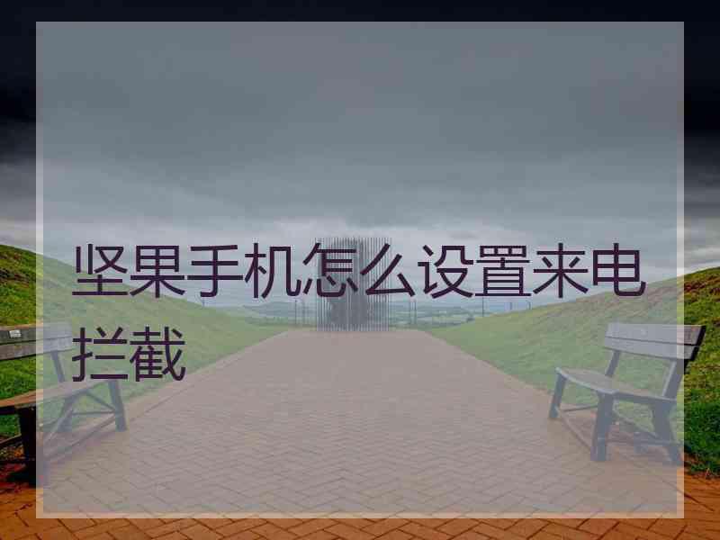 坚果手机怎么设置来电拦截