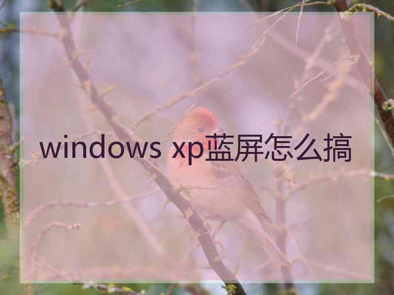 windows xp蓝屏怎么搞