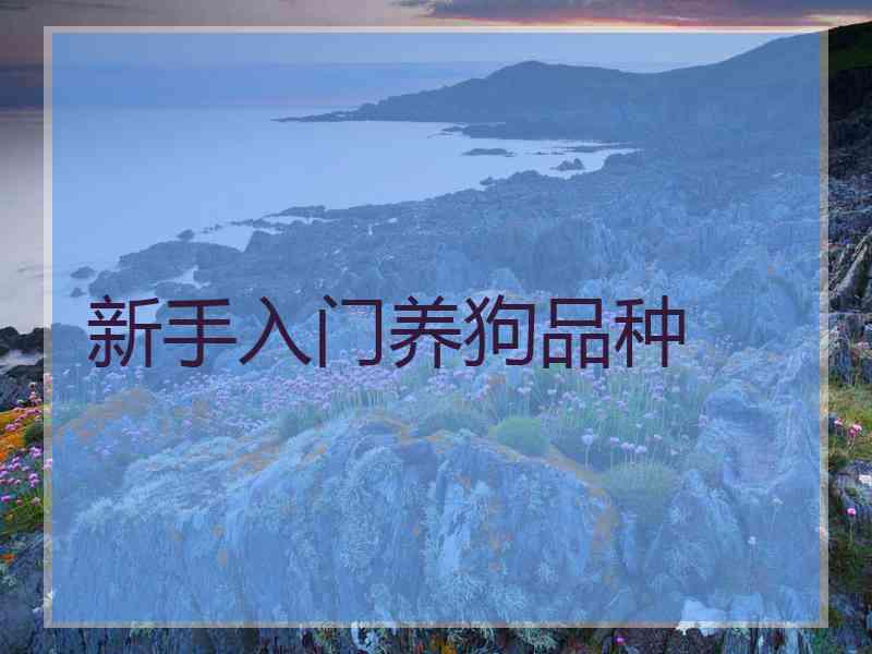 新手入门养狗品种